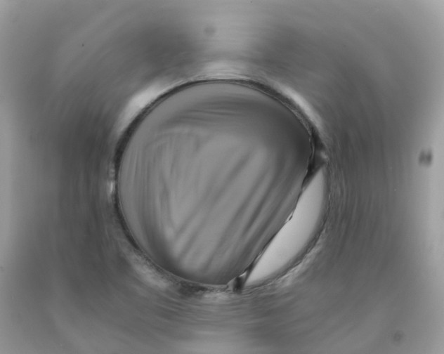 X0000091541461200709141446