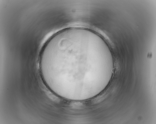 X0000091541462200709141446