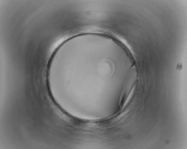 X0000091541463200709141446