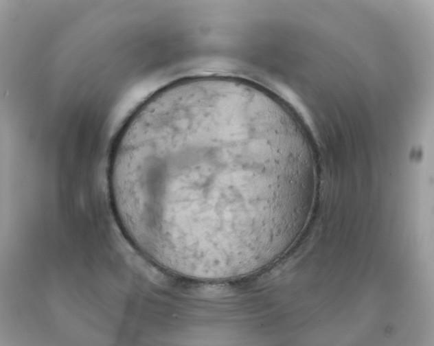 X0000091541464200709141446