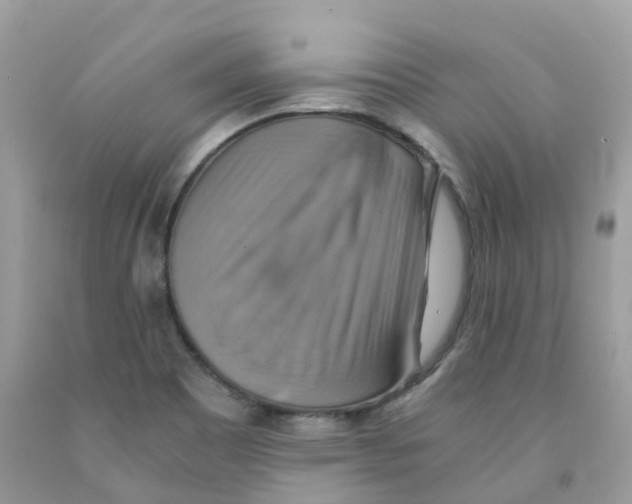 X0000091541465200709141446