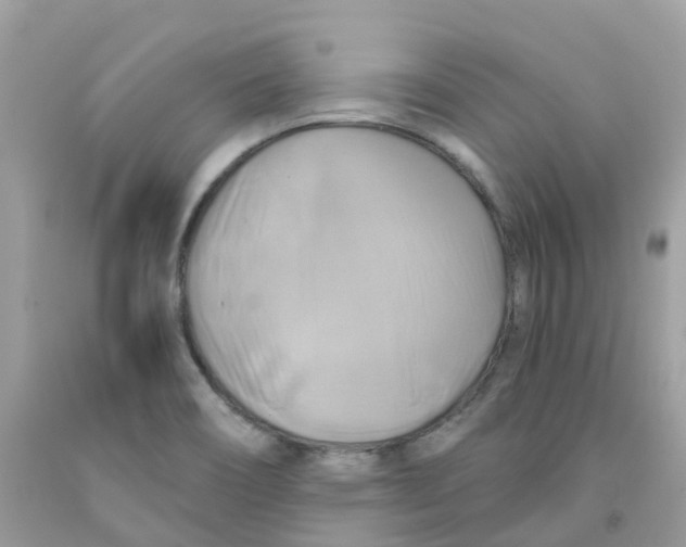 X0000091541466200709141446