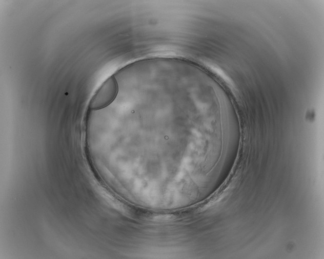 X0000091541467200709141446