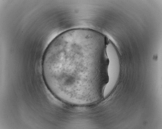 X0000091541468200709141446