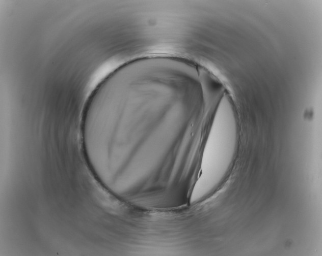 X0000091541469200709141446