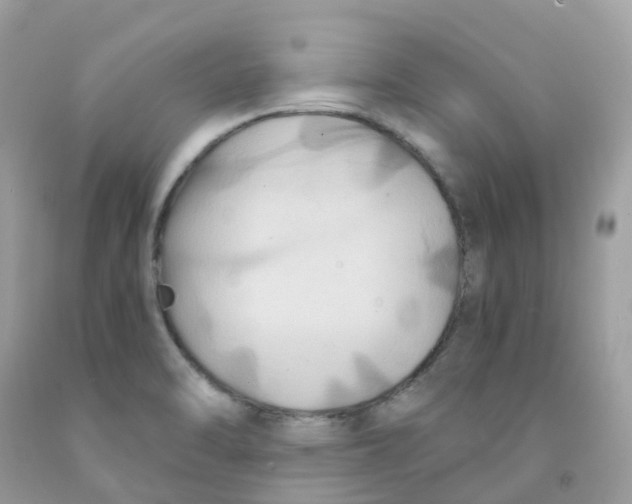 X0000091541470200709141446