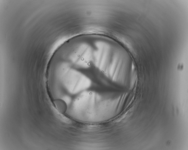 X0000091541471200709141446