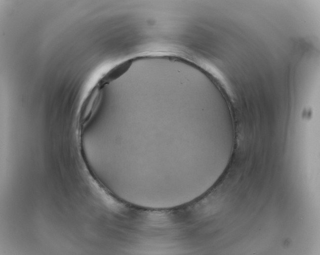 X0000091541472200709141446