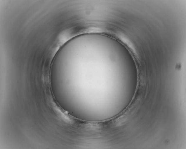 X0000091541473200709141446