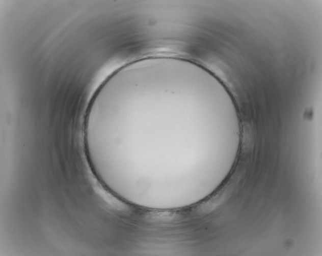 X0000091541474200709141446