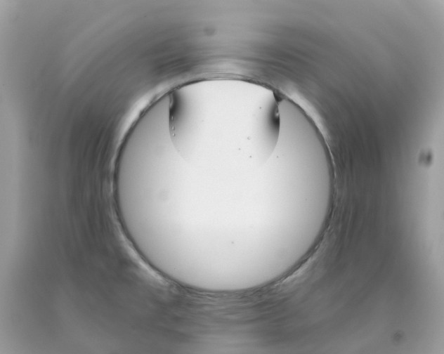 X0000091541477200709141446