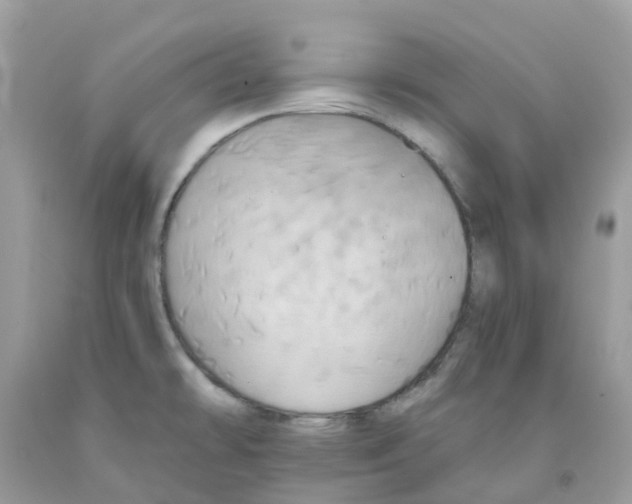 X0000091541478200709141446