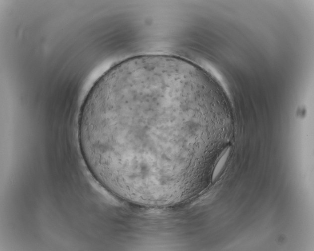 X0000091541480200709141446