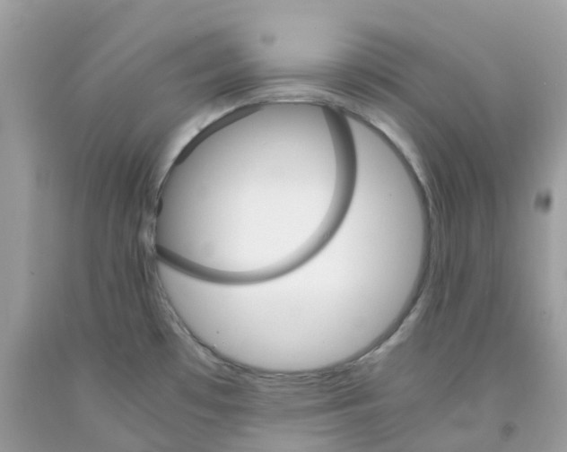 X0000091541481200709141446