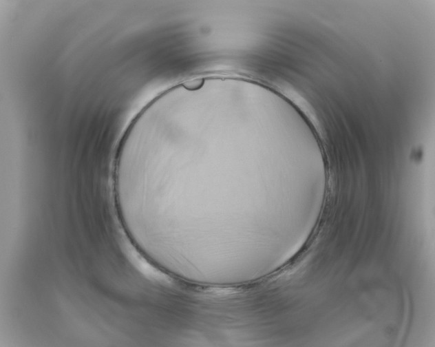 X0000091541482200709141446