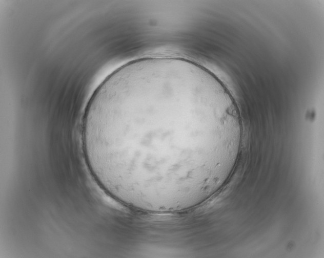 X0000091541486200709141446