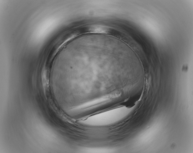 X0000091541487200709141446