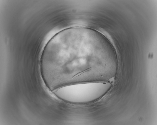 X0000091541488200709141446