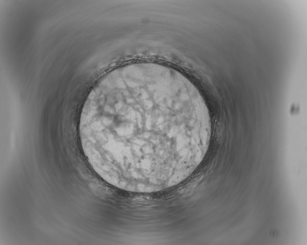 X0000091541489200709141445