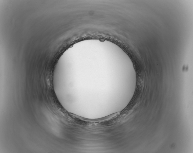 X0000091541490200709141445