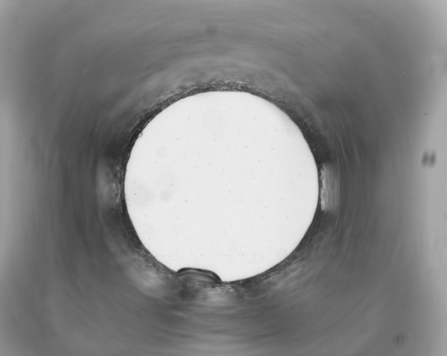 X0000091541491200709141445