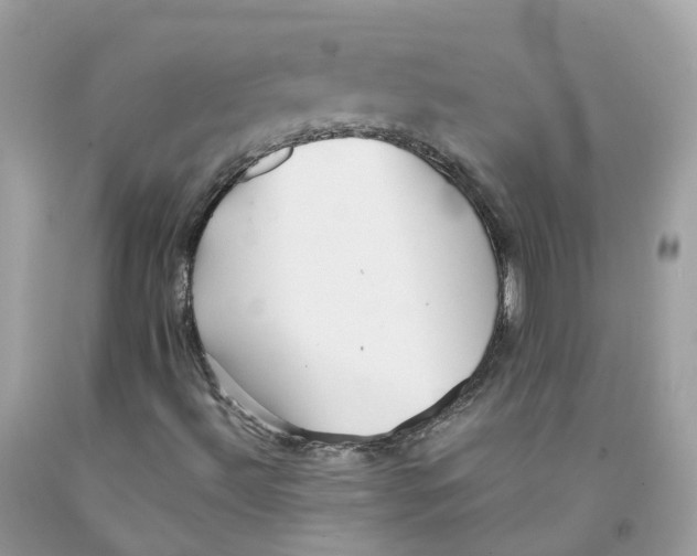 X0000091541492200709141445