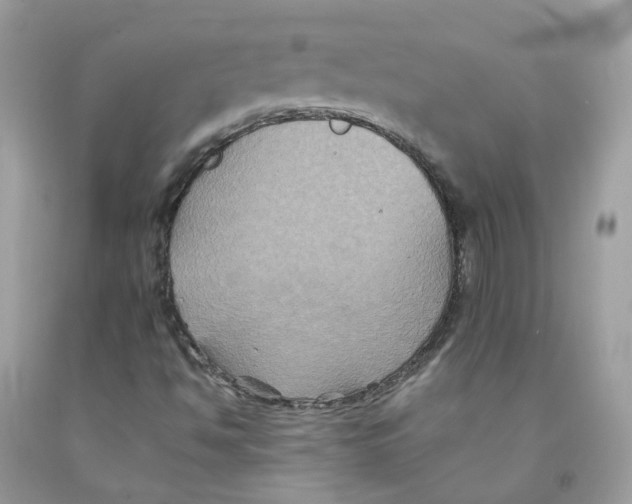 X0000091541494200709141445