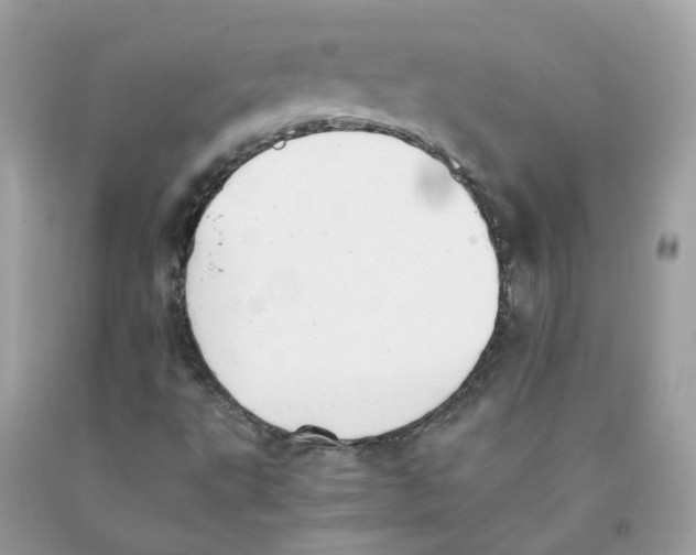 X0000091541495200709141445