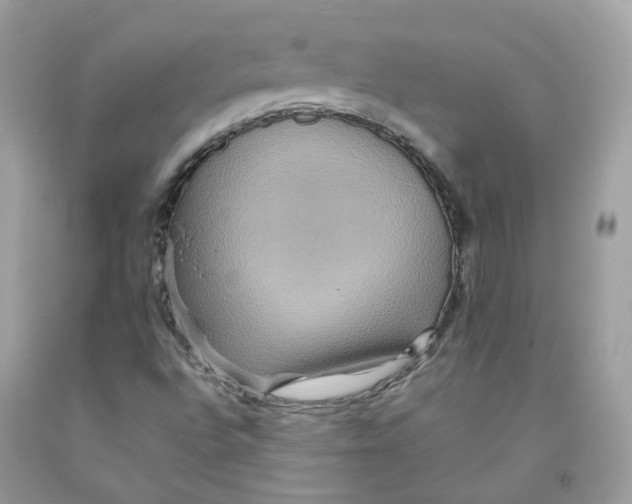 X0000091541496200709141445