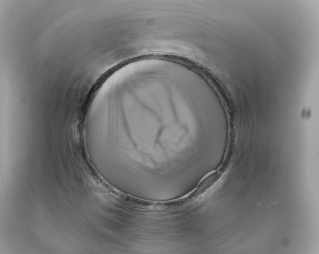 X0000091541497200709141445