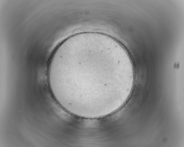 X0000091541498200709141445