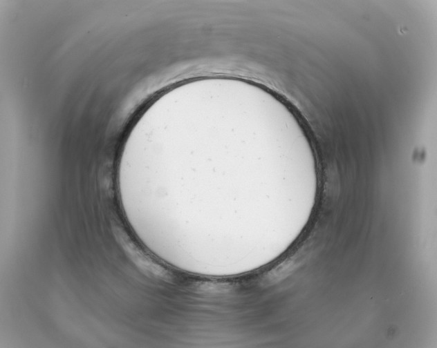 X0000091541499200709141445