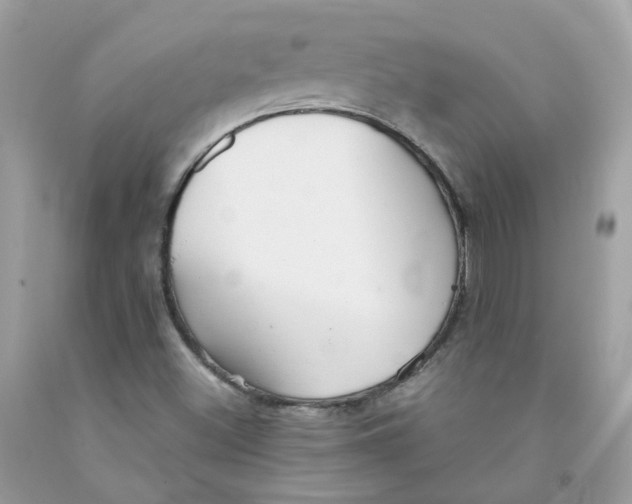 X0000091541500200709141445