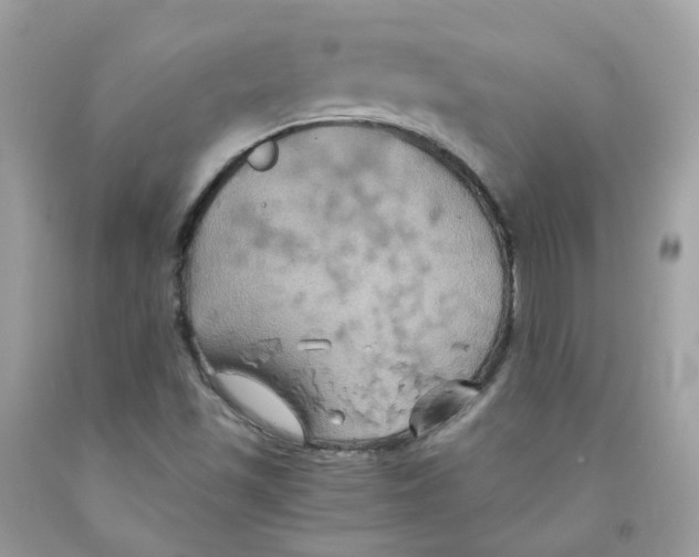 X0000091541501200709141445