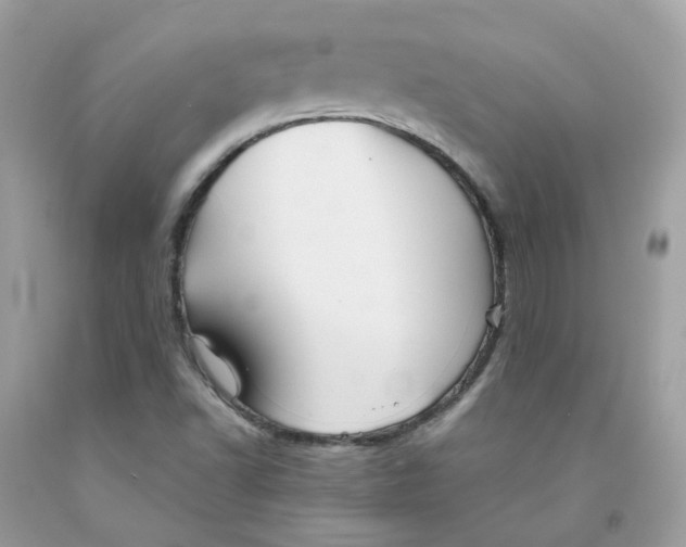 X0000091541502200709141445