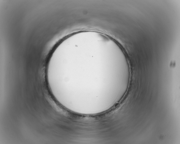 X0000091541503200709141445