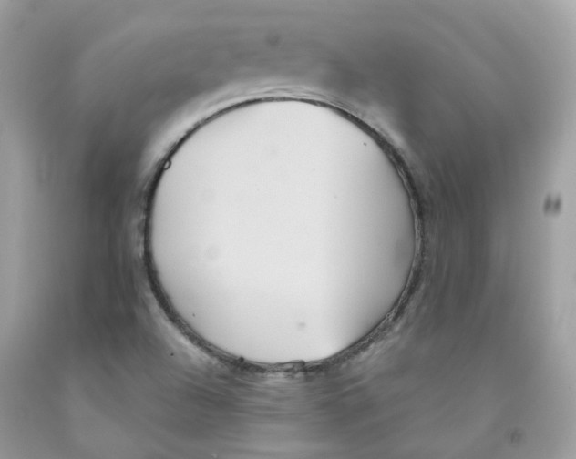 X0000091541504200709141445