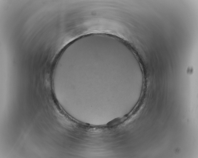 X0000091541505200709141445