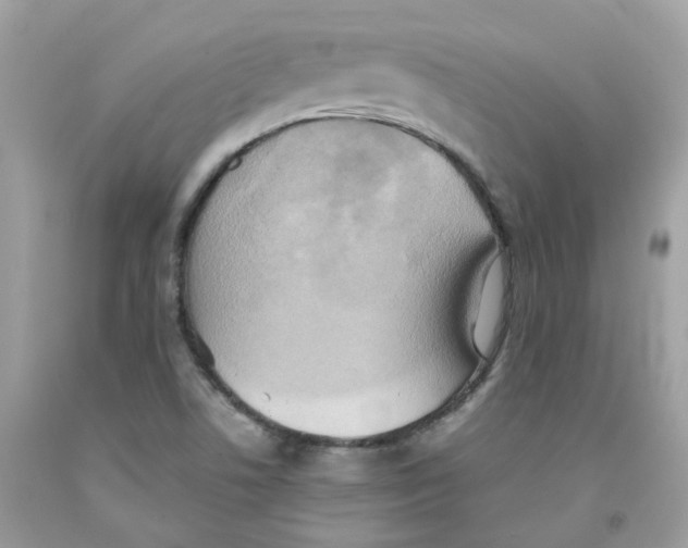 X0000091541506200709141445