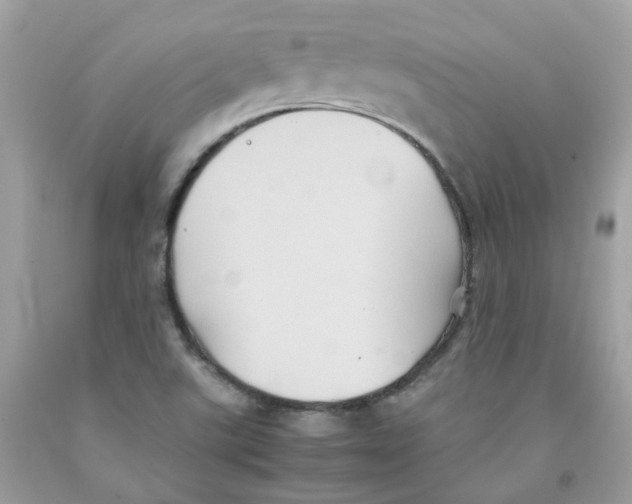 X0000091541507200709141445