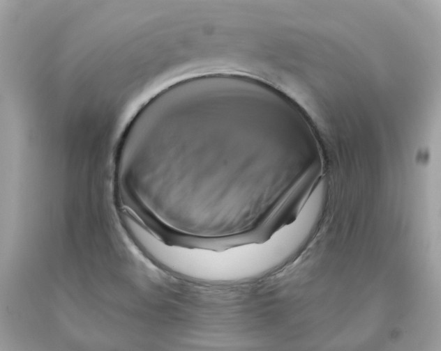 X0000091541508200709141445