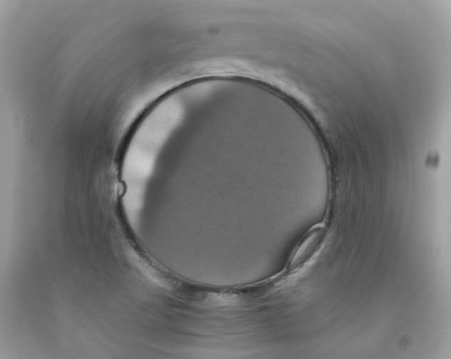 X0000091541509200709141445