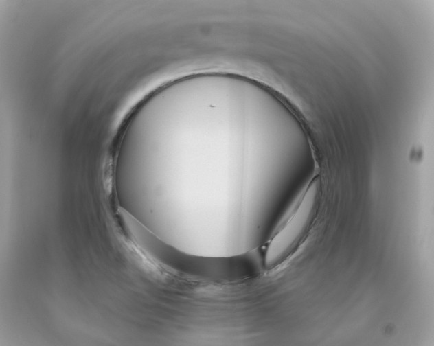 X0000091541510200709141445