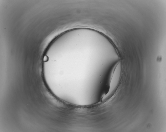 X0000091541511200709141445