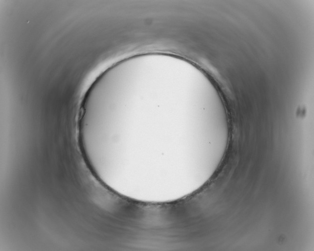 X0000091541512200709141445