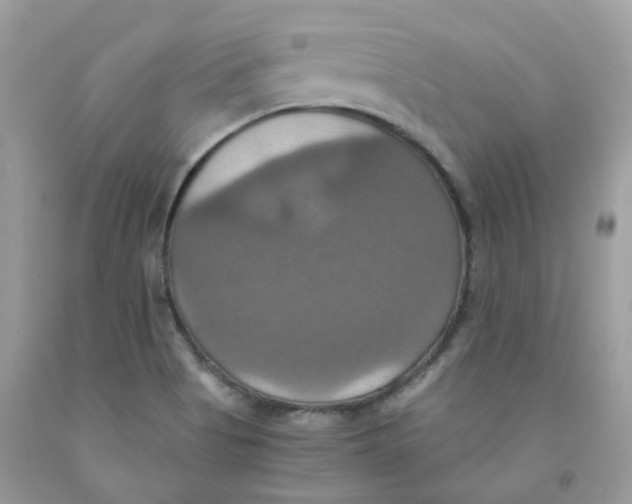 X0000091541513200709141445