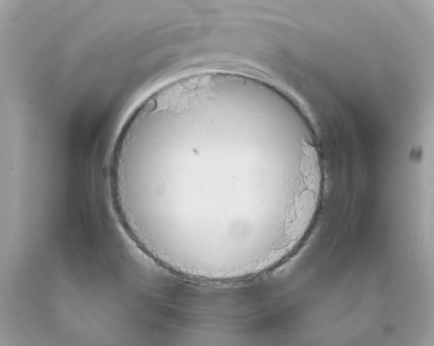 X0000091541514200709141445