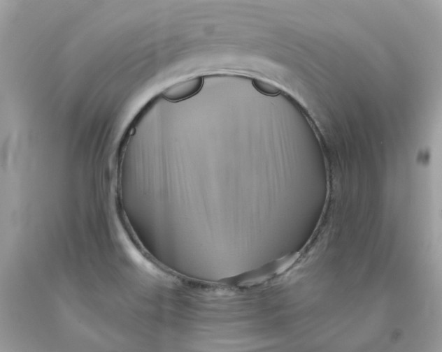 X0000091541515200709141445