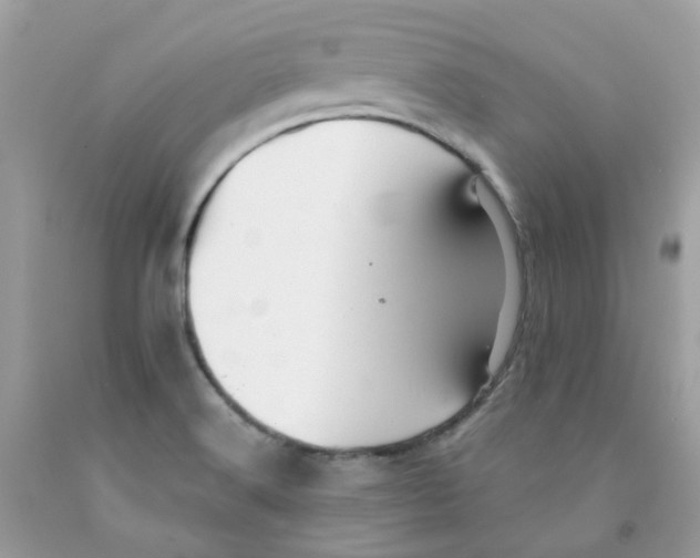 X0000091541516200709141445