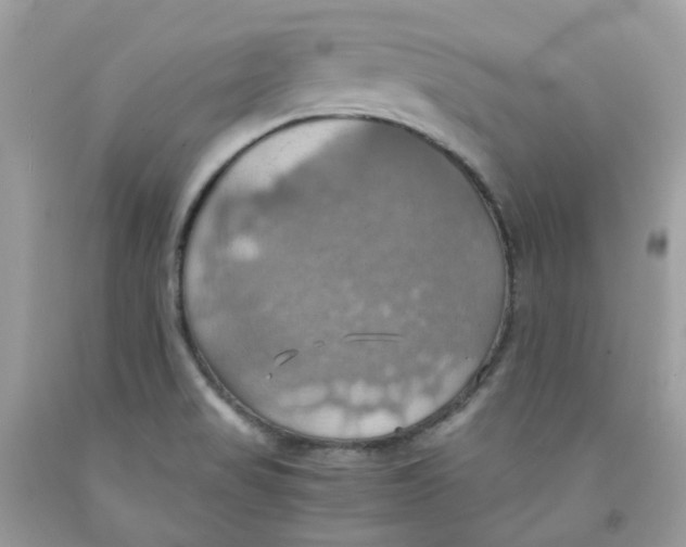 X0000091541517200709141445